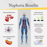 NERVE DEFENSE (Vital Nerve Protection)