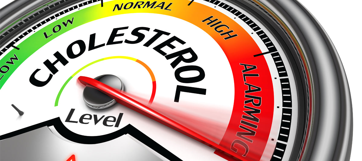 You Need To Know What To Do When Diet Doesn’t Lower Cholesterol?