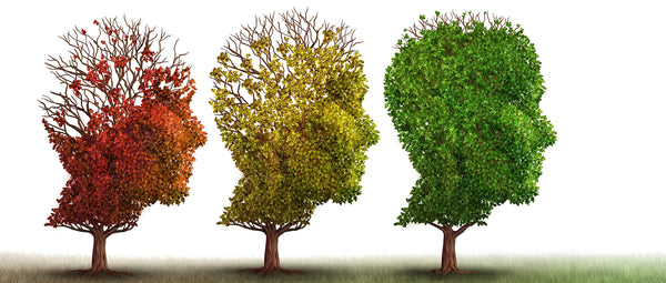 Improve Your Memory and Fend Off Alzheimer's