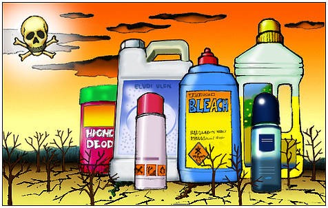 Common Everyday Toxins To Avoid – NUPHORIA cm